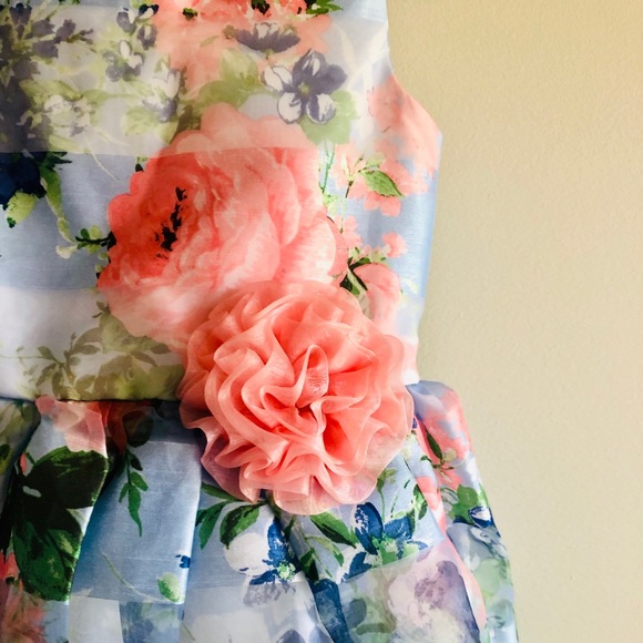 Jona Michelle Beautiful Floral Striped Dress - Picture 3 of 6